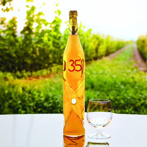35. Évszámos Ajándék Díszüveges Bor - Csavart (0.75L)
