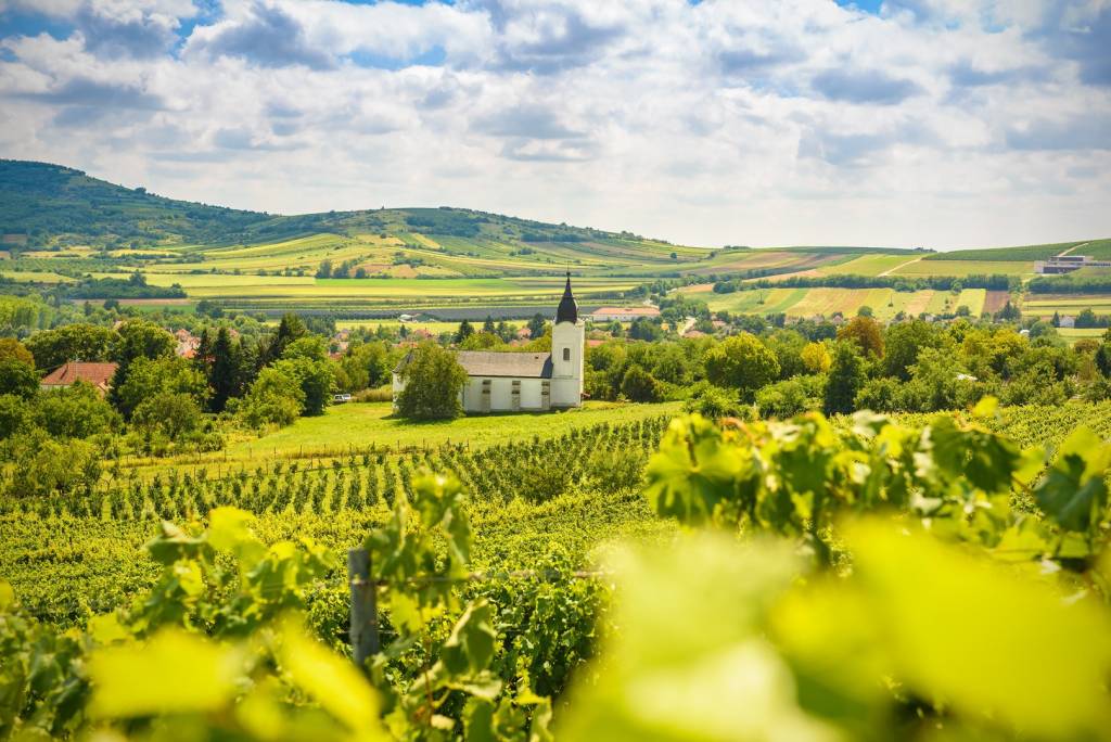 Tokaji borvidék hangulatkép