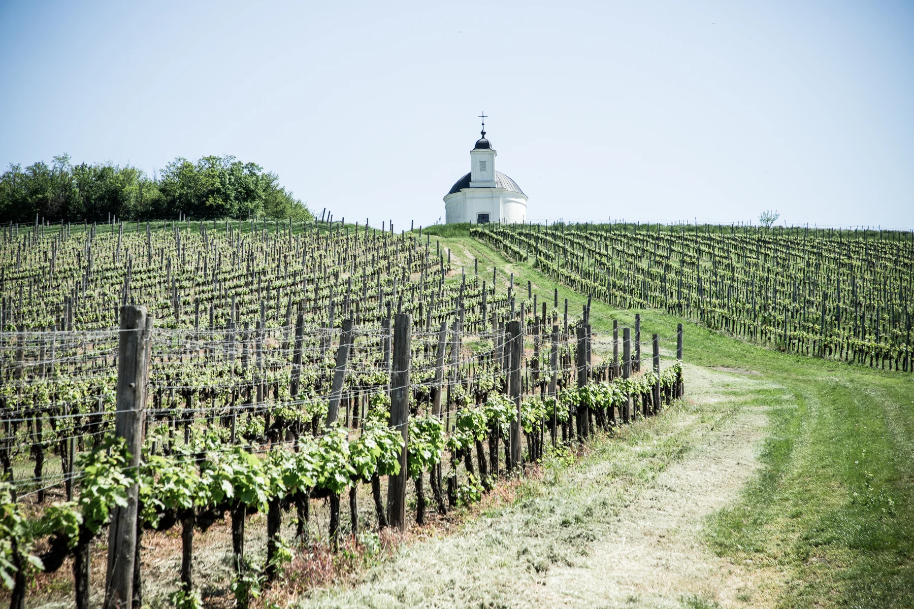 Podgorie din Tokaj
